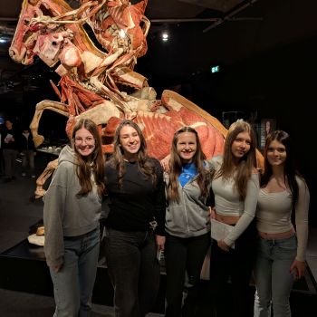 Unter die Haut: Die 3EK, 2AKA und 2BKA bei den „Körperwelten“