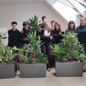 Es grünt im 3. Stock: Die 2AS gestaltet den COOL-Raum neu